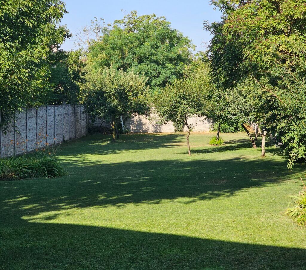 the first photo that Cristian's father took